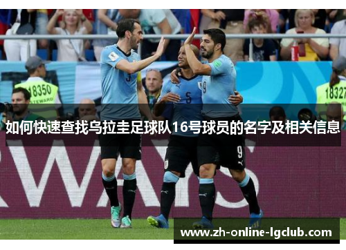 如何快速查找乌拉圭足球队16号球员的名字及相关信息