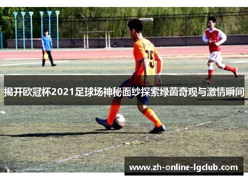 揭开欧冠杯2021足球场神秘面纱探索绿茵奇观与激情瞬间