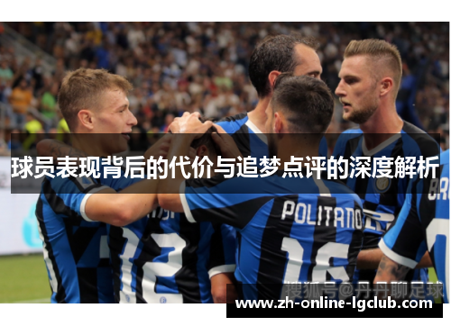 球员表现背后的代价与追梦点评的深度解析