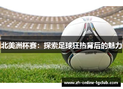 北美洲杯赛：探索足球狂热背后的魅力