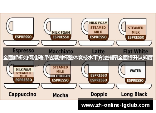 全面解析如何准确评估澳洲杯整体竞技水平方法指南全面提升认知度